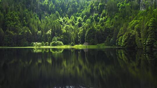 绿色森林湖泊 唯美自然风光