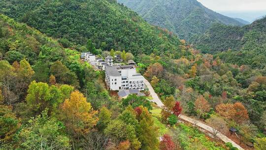 靖安隐仙谷山区13