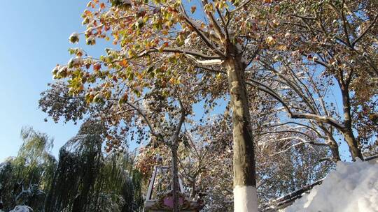 航拍济南大明湖冬天雪景视频素材模板下载