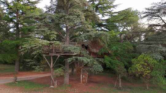 法国蒙彼利埃圣让德阿尔布西耶庄园的树屋