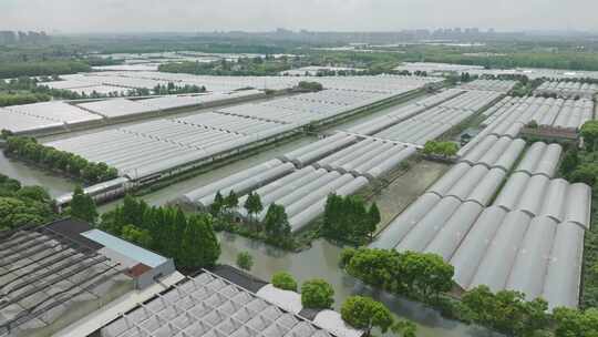 农场大棚种植基地航拍