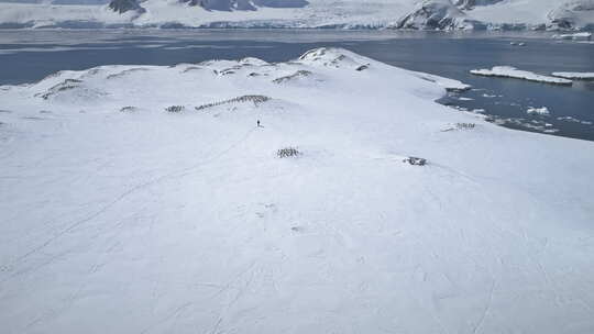 南极探险阿德利企鹅鸟瞰图
