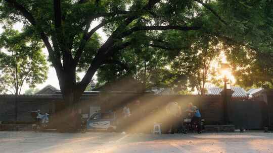 （4k电影感）北京夏天胡同里的烟火气