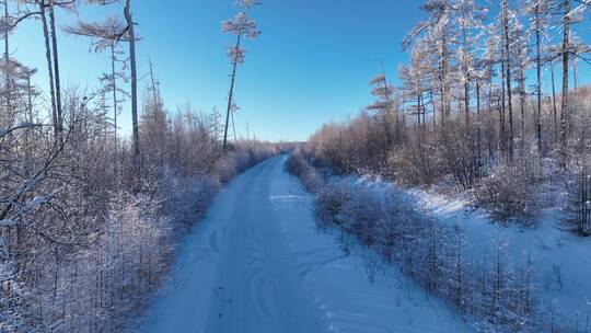 航拍林海雪原雪林山路