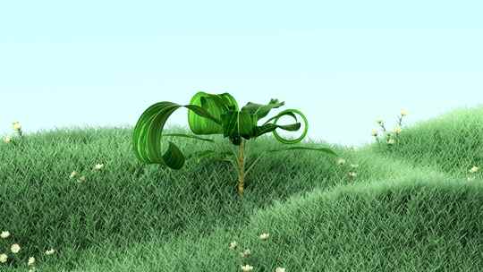 草地植物生长三维3D