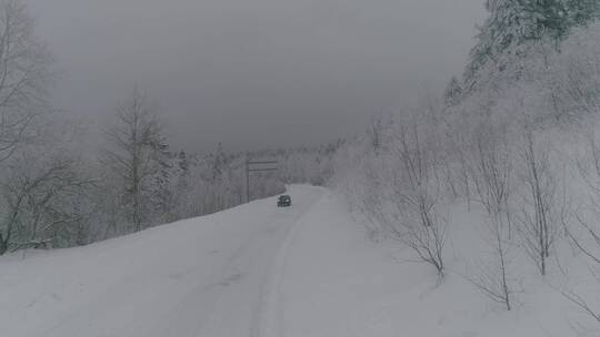 唯美长白山原始森林日出雪景航拍视频素材模板下载