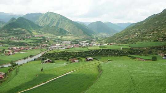 高原村庄田园森林风景