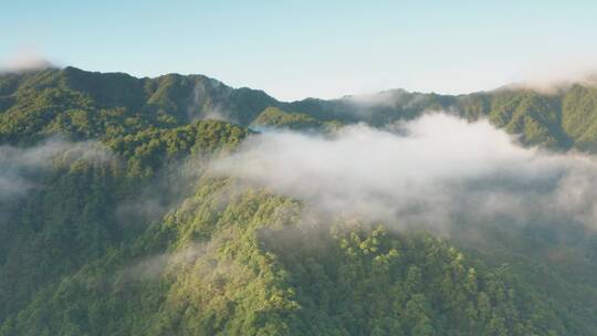 高山山峦晨曦云海航拍浙江开化钱江源森林