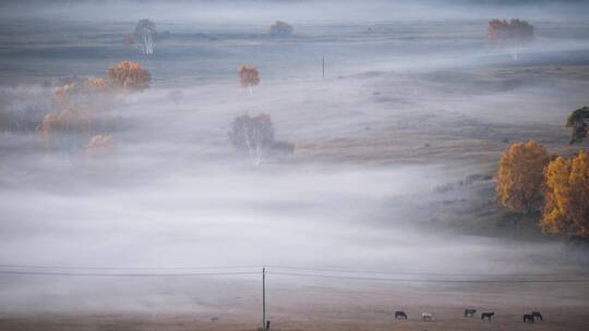 乌兰布统大草原秋天的晨雾