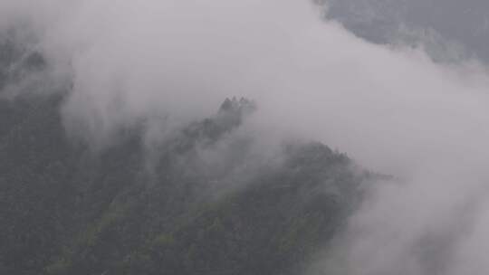 黄山云雾缭绕航拍