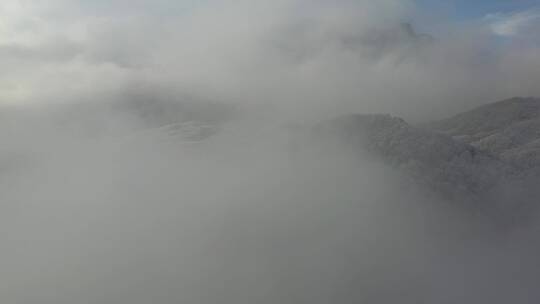 森林-航拍森林-大自然森林云雾-云海雪景