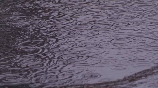 下雨 雨水 雨滴