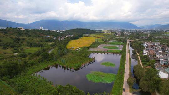 航拍大理苍山脚下农村生态河道