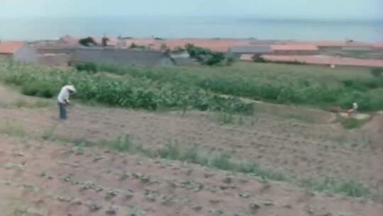 70年代80年代 沿海地区 人民生活