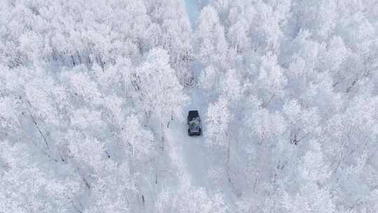 4K呼伦贝尔雪原雾凇车队行驶7