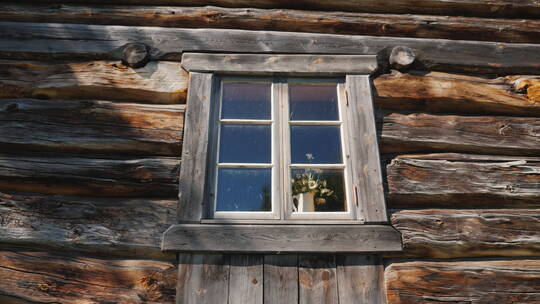 旧木屋的窗台上放了一个盆栽视频素材模板下载