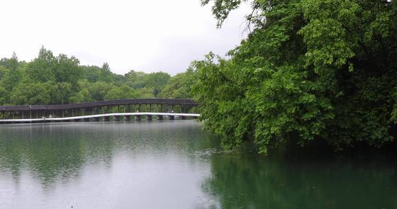 江南春天下雨杭州西湖泸晧湾空镜