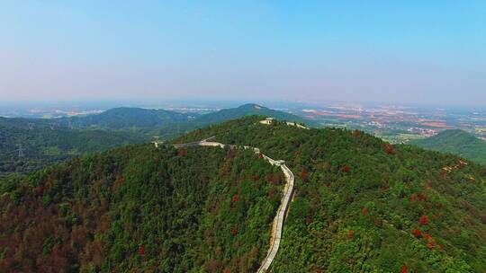 高山绿色道路