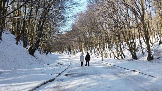 夫妻在冬季公园散步