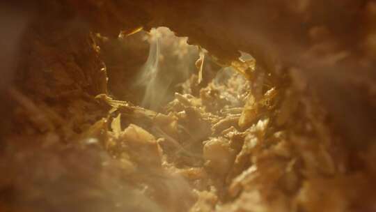 酒曲发酵酒微生物白酒酿酒酒糟酒窖固态发酵