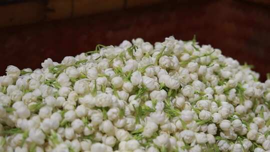 升格慢动作微距特写茉莉花与茉莉花茶制作