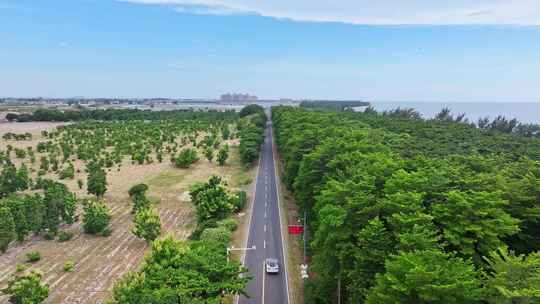 航拍一辆白车行驶在森林道路上