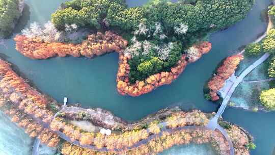 生态湿地公园人工岛  湿地水系