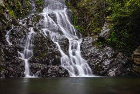 阳明山国家森林公园瀑布溪流流水大山绿色