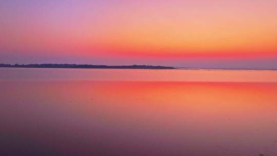 夕阳下浅滩上的鸟类群像