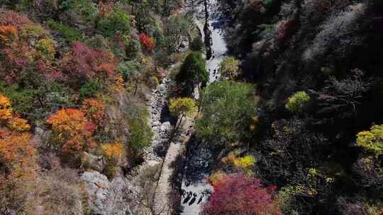 泰山对松山的秋色