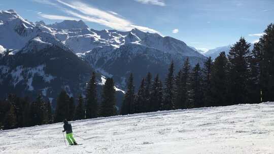 高山滑雪