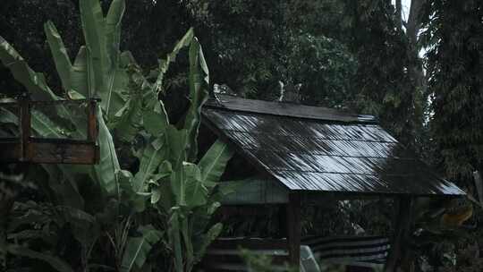 雨，湿，房子，滴