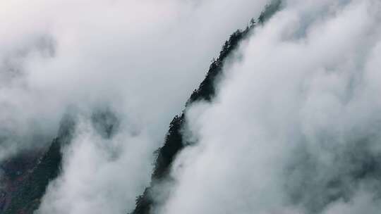 山谷里的云雾天气