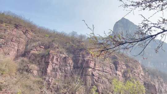 峡谷山泉拦道游客上摇山林