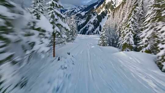 4K冬天树林冬季风景冬日逆光雪景