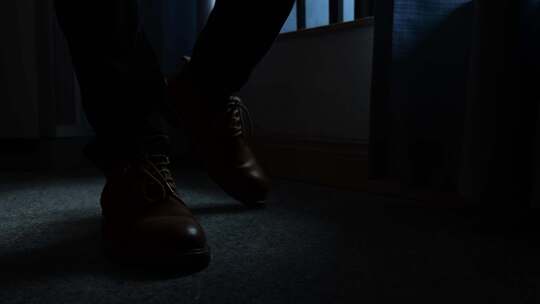 窗边  打电话 密谋 看文件