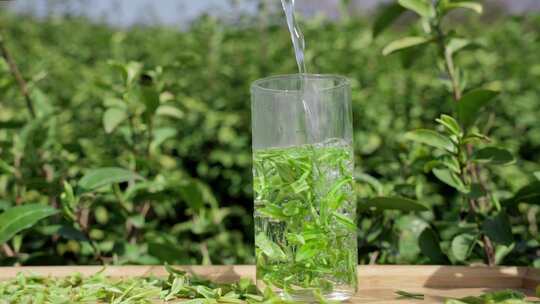 泡茶茶艺茶道茶叶特写