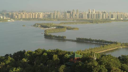 武汉东湖航拍东湖绿道湖面高楼绿色植被