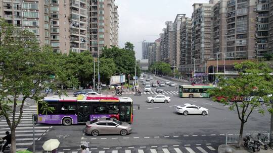 2022广州交通斑马线十字路口行人视频素材模板下载