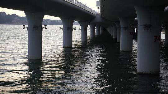 海中桥墩水中桥梁公路道路大海桥墩风景风光视频素材模板下载