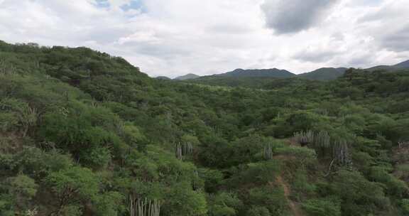 墨西哥特华坎生物圈保护区，国家保护区，生