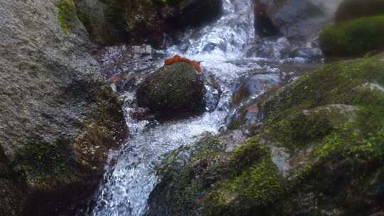 河流溪流溪水泉水河流水流河水水源山水河水