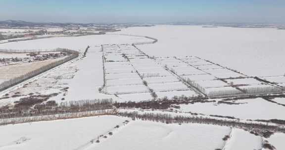 万昌镇被雪覆盖的农田景象