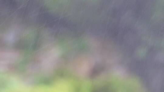 阴天小雨中的园林庭院降雨竹林雨中古建筑