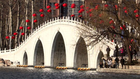 推出镜头北京玉渊潭公园湖上的石拱桥