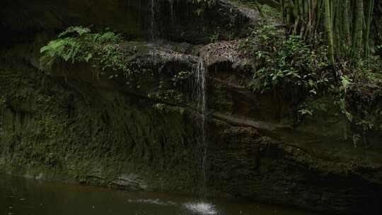 四川邛崃川西竹海风景山泉溪流