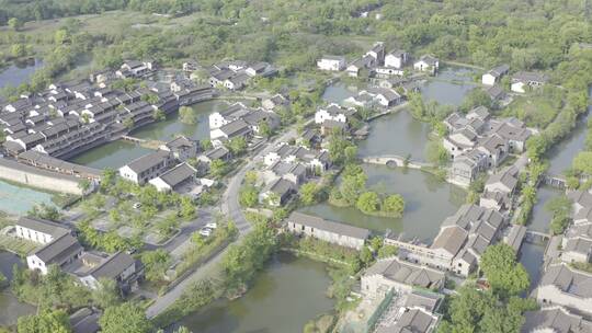 西溪湿地