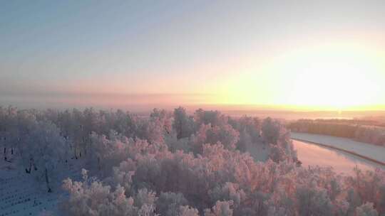 无人机俯拍白雪覆盖的森林与日出视频素材模板下载