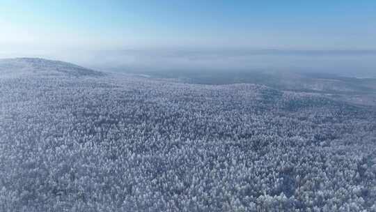 航拍林海雪原高山雾凇晨光冻雾