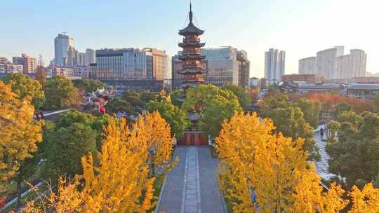 上海秋天 龙华寺秋天 上海地标秋色